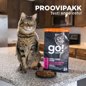 Dry food