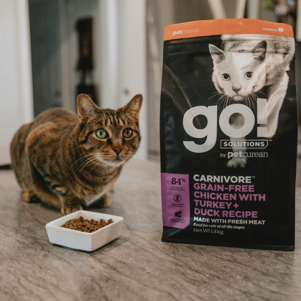 GO! Carnivore Kana, Kalkun + Part Kuivtoit Kassile ja Kassipojale 1,4kg – pilt 4