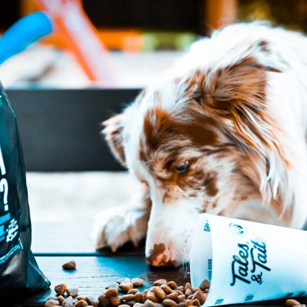 Tales and Tails Pehme Kuivtoit Täiskasvanud Koertele (60% Kala) 100g – pilt 3