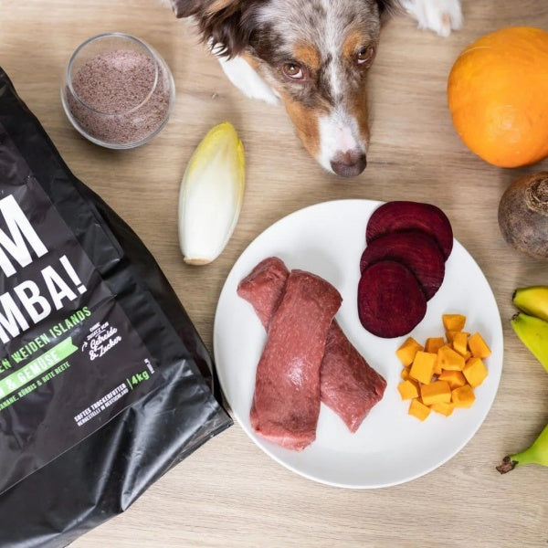 Tales and Tails Pehme Kuivtoit Täiskasvanud Koertele (75% Lambaliha) 100g (Parim enne 11/2026) – pilt 3
