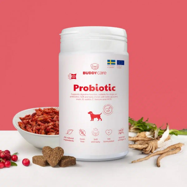Buddy Care Probiotic Koerale seedimise ja immuunsüsteemi toetamiseks 150g