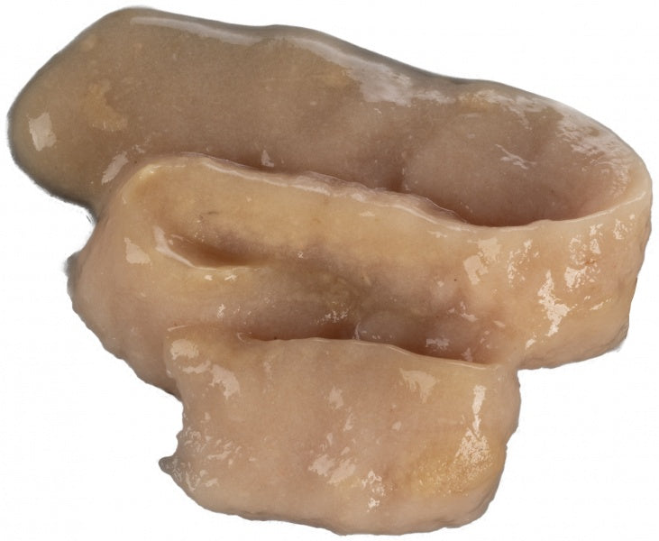 Nuotrauka