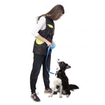Dingo Agility Rihm Mänguasjaga, Roheline 20mm x 160cm – pilt 3