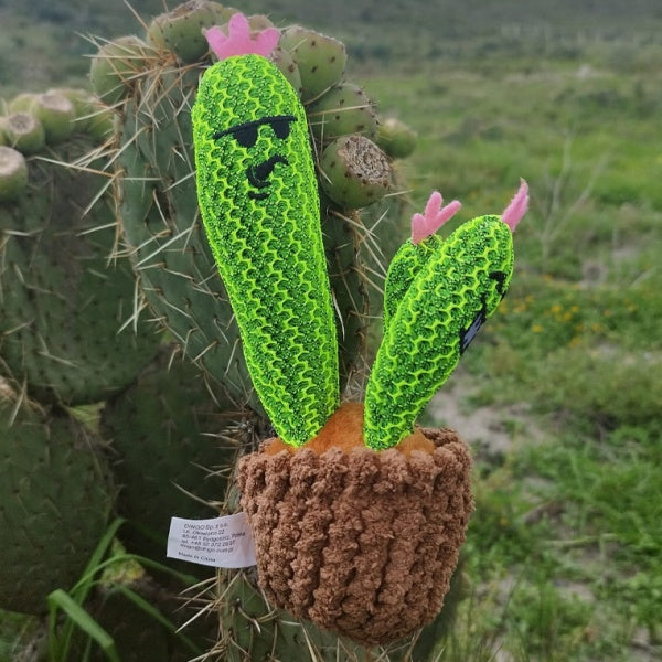 Dingo Mänguasi Koerale Kaktus 20cm – pilt 2