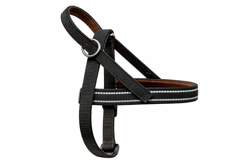 Onega Traksid Koerale Nailonist ja Nahast voodriga 35cm