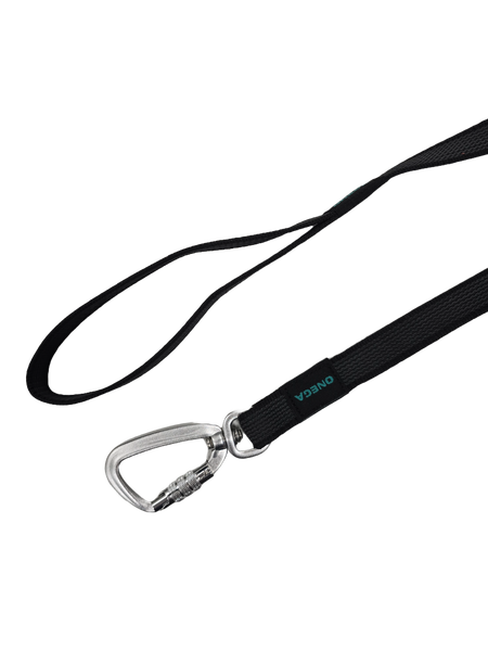 Onega Kummeeritud Jalutusrihm Koerale, Hall (Twist Lock) 20mm x 2m – pilt 2