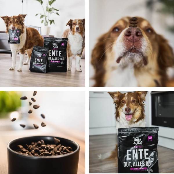Tales and Tails Pehme Kuivtoit Täiskasvanud Koertele (70% Pardiliha) 4kg – pilt 3