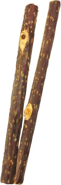 Nuotrauka