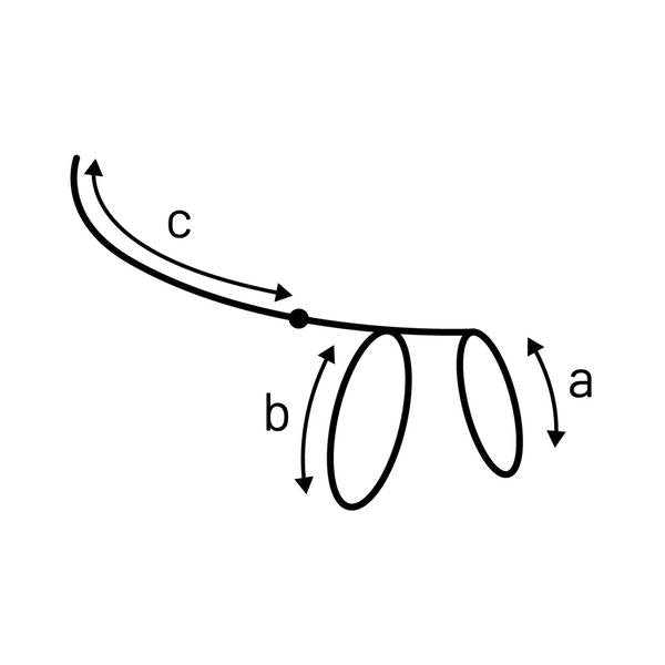 Nuotrauka