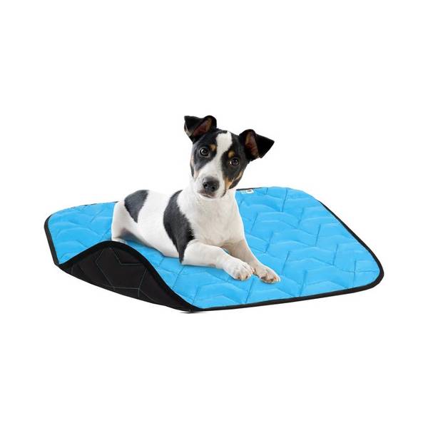 Airyvest Kerge Koeratekk, L Sinine/Must 100x70cm