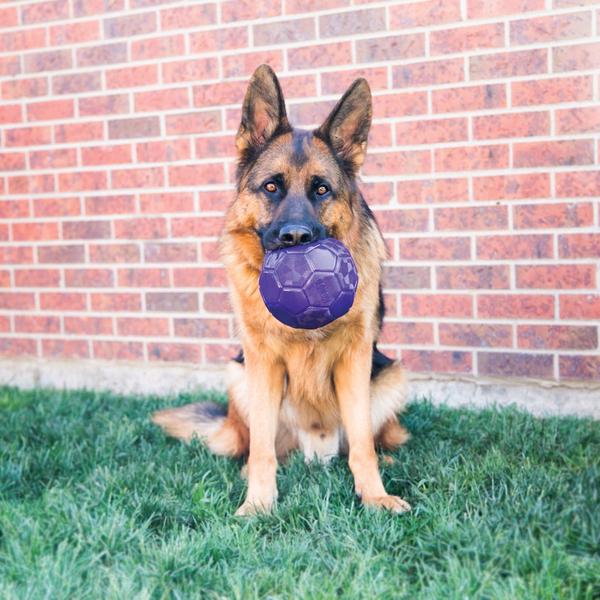 KONG Mänguasi Koerale Flexball M/L – pilt 2