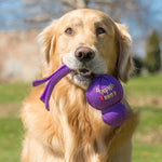 KONG Mänguasi Koerale Wubba XL 40cm – pilt 2
