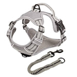 ne&no® sangaga traksid koerale + tõmbeid pehmendav lisarihm | XL (amstaff, pitbullterjer)