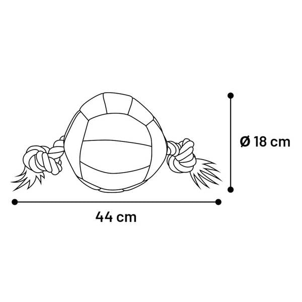 Nuotrauka