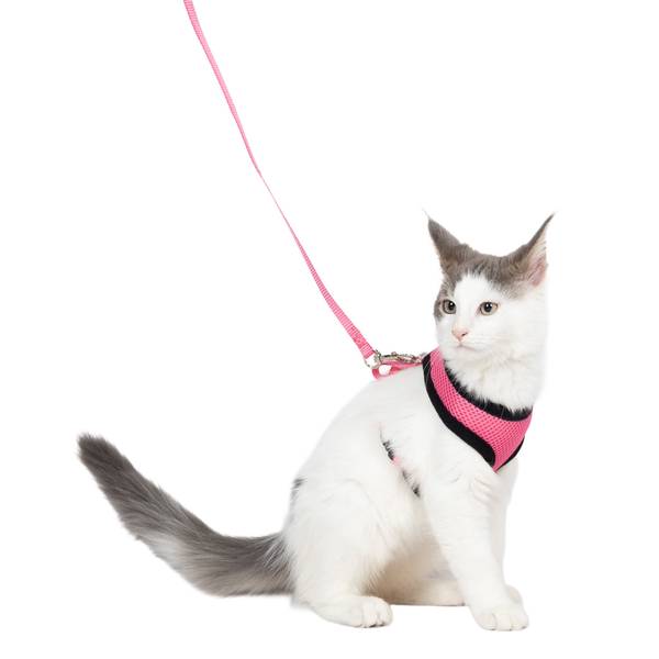 Flamingo Kassi Traksid Jalutusrihmaga, Roosa 37cm / 43-55cm