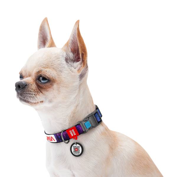 Nuotrauka