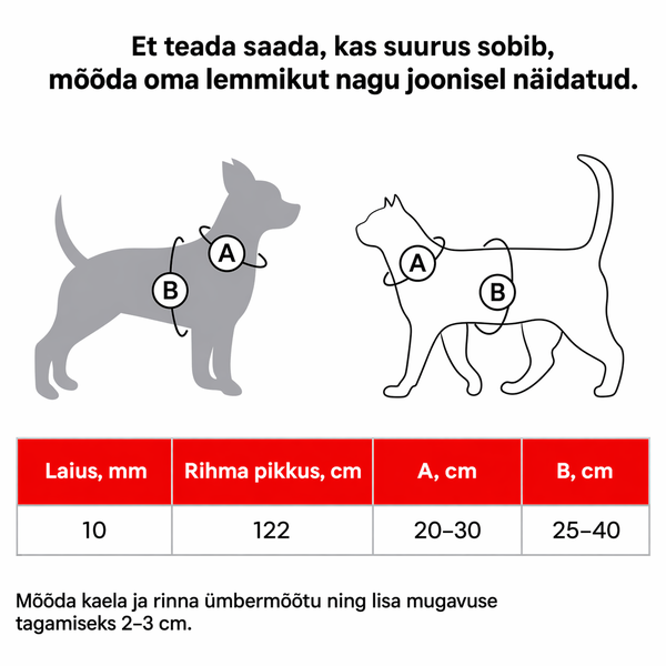 Nuotrauka