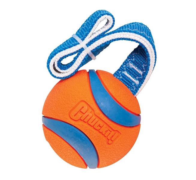 Chuckit! Mänguasi Koerale Ultra Tug L 7 cm