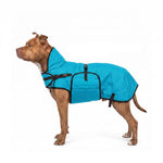 Zero DC Talvejope Koerale Türkiis 60cm – pilt 2