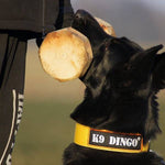 Dingo IGP Apport 650g – pilt 2
