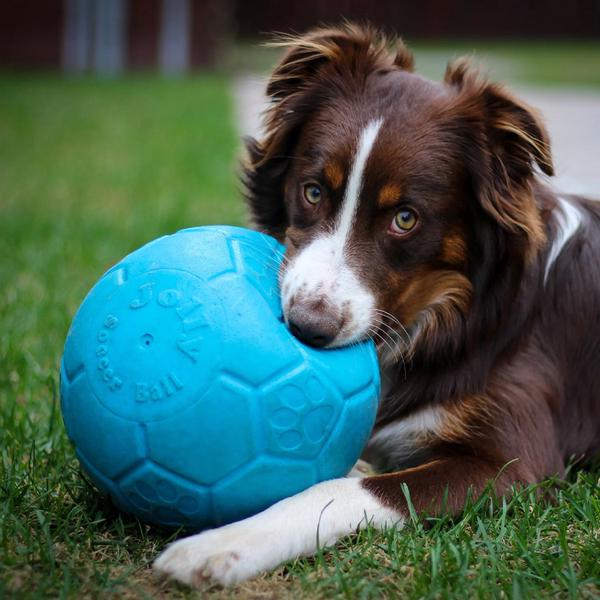 Jolly Pets Mänguasi Koerale Jalgpall Oranž 15cm (Ujub vees) – pilt 4