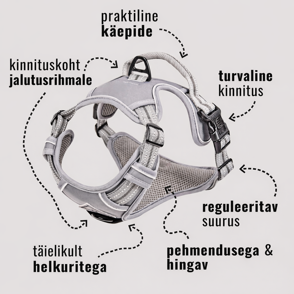 ne&no® sangaga traksid koerale + tõmbeid pehmendav lisarihm | M (mops, prantsuse buldog, borderkolli) – pilt 4