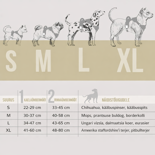 ne&no® sangaga traksid koerale + tõmbeid pehmendav lisarihm | XL (amstaff, pitbullterjer) – pilt 6