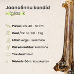 Kauartikel Maius Koerale - Jaanalinnu Kont 48-55cm – pilt 2