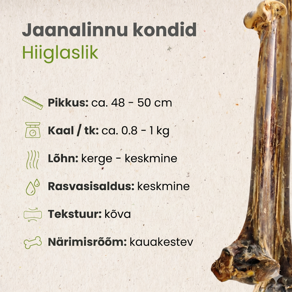 Kauartikel Maius Koerale - Jaanalinnu Kont 48-55cm – pilt 2