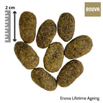 Enova Lifetime Ageing Kuivtoit Kanaga Seenior/Ülekaalulisele Koerale 12kg – pilt 2