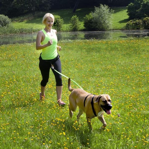 Dingo Jalutusrihm Veniva Keskosaga, Must 170cm – pilt 2