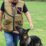 Dingo Kummeeritud Jalutusrihm , Reguleeritav, Must 20mm x 220cm – pilt 2