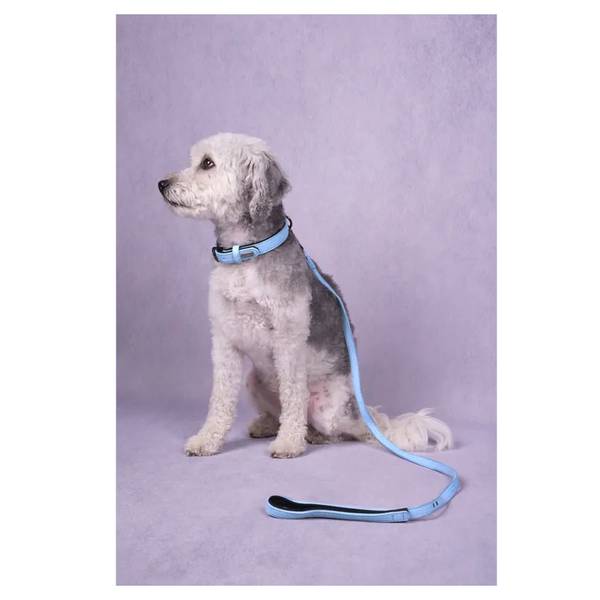Flamingo Kaelarihm Leza Sinine 29-35cm – pilt 2