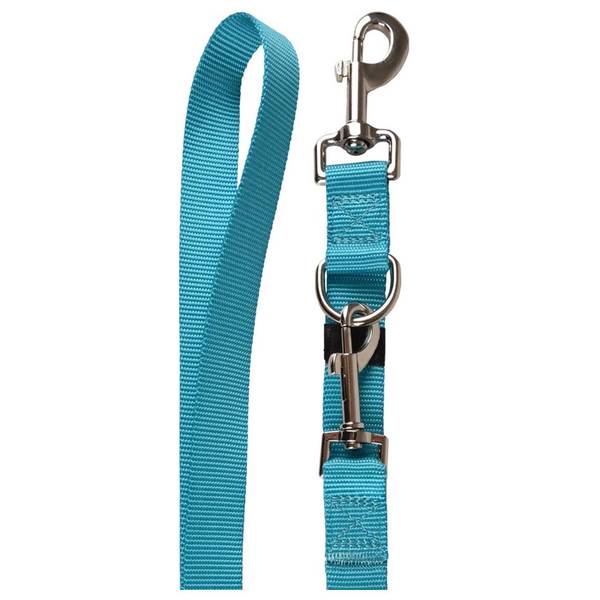 Flamingo Nailonist Treeningrihm Koerale, Türkiissinine 25mm x 250cm