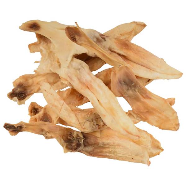 Nuotrauka