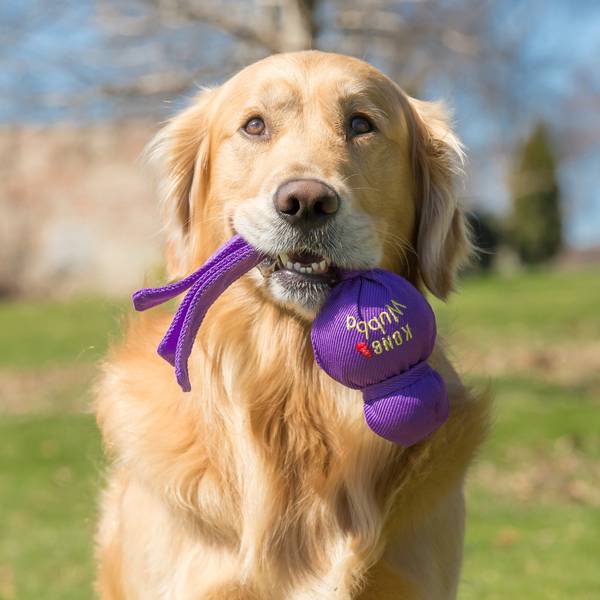 KONG Mänguasi Koerale Wubba L 30cm – pilt 3