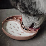 ne&no® söömist aeglustav kauss / lakkumismatt kassidele & koertele | lilac – pilt 2