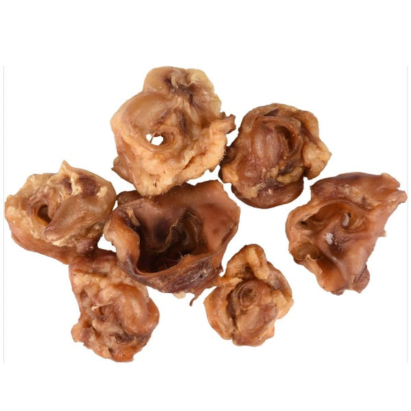 Nuotrauka