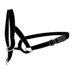 Flamingo Koera Koonurihm L – pilt 2