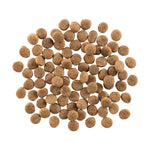 GO! Skin + Coat Kanalihaga Kuivtoit Koerale ja Kutsikale 11,4kg – pilt 3