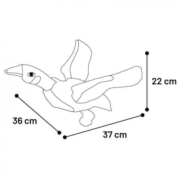 Nuotrauka