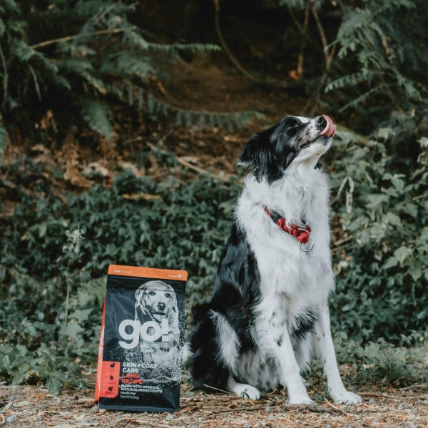 GO! Skin + Coat Lambaga Kuivtoit Koerale ja Kutsikale 1,6kg – pilt 4